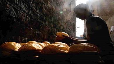 تراجع متوقع في محصول القمح يحرّك أسعار "العيش" في مصر